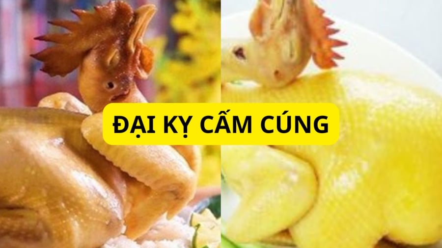 Thông thường gà cúng là gà trống nhưng cũng có dịp nên ưu tiên gà mái